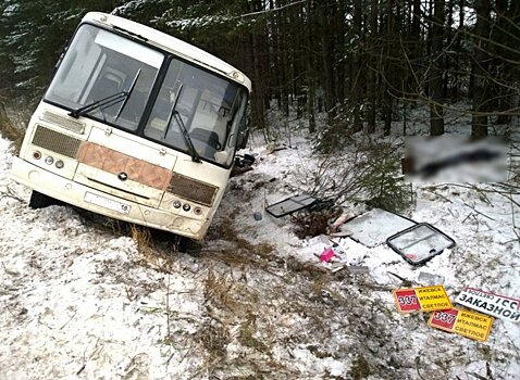 В Воткинске осудили водителя автобуса, который опрокинулся и раздавил девушку