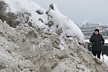 Власти Петербурга связали проблемы с уборкой снега с малым числом мигрантов в городе