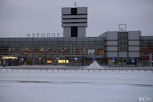 В аэропорту Кольцово задержали беглого таджика, который находился в розыске за кражу