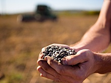 У поставщиков шрота потребовали данные о внебиржевых торгах