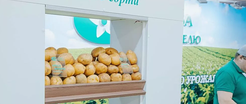 В российском регионе пройдет крупнейшая выставка по достижениям в выращивании картофеля