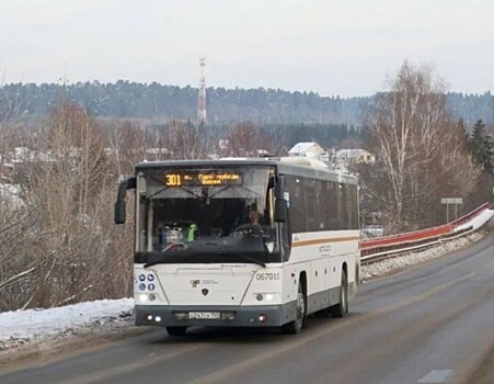 Севшего на школьницу в автобусе россиянина задержали