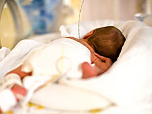 В Петербурге в кустах нашли новорожденного