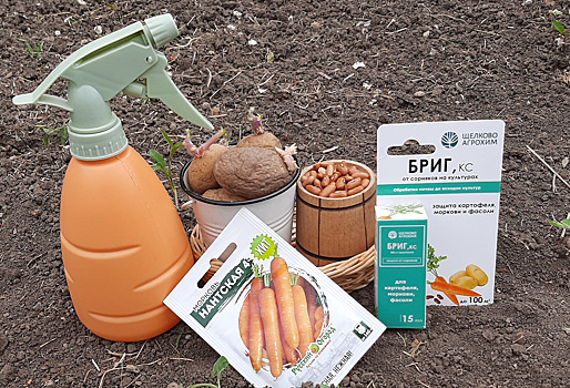 Как покончить с сорняками на грядках без прополки. Инструкция по применению препарата "Бриг"