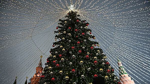 Тысячу новогодних елей установили в Москве к праздникам