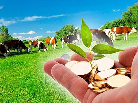 Крымским сельхозтоваропроизводителям выделят порядка 151 млн рублей