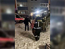 В Челябинске пожарные сняли с балкона восьмого этажа шестилетнюю девочку