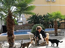 Где в Крыму готовы принимать туристов с домашними животными