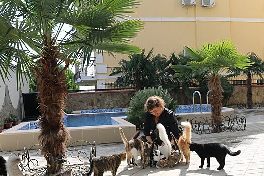 Где в Крыму готовы принимать туристов с домашними животными