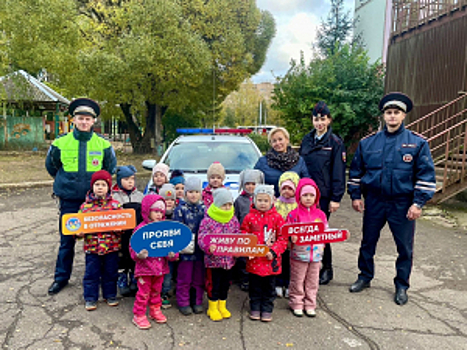 В Новгородской области дорожные полицейские и общественники в рамках акции «Каждый ребенок должен знать» пришли в гости к дошкольникам