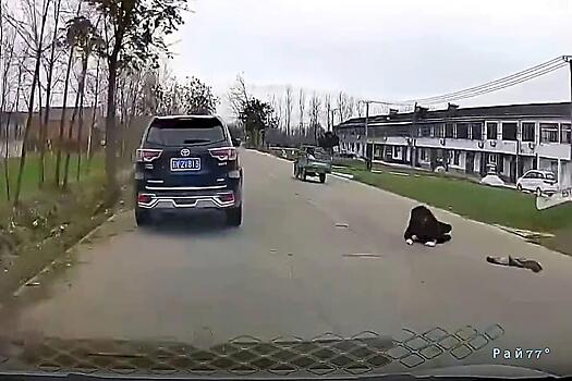 Водитель внедорожника остановил «сбежавший» от владельца мотороллер и прославился в Сети