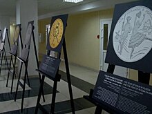 В Пензе открыли выставку изображений лучших монет из драгметаллов
