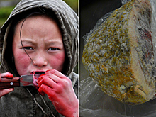 Копальхен: мясной деликатес, который нельзя пробовать туристам