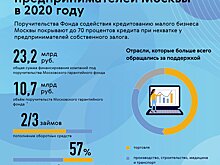 Бизнес в 2020 году взял 23,2 млрд рублей под поручительство Московского гарантийного фонда