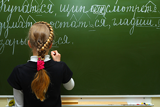 Директора российской школы наказали за переполненные классы