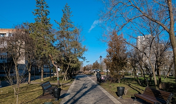 Климатолог рассказал, когда в Волгоград придет весенняя погода