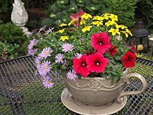 Конкурс на лучший цветник пройдёт на северо-востоке Москвы