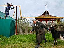 Огреть трубой всю Россию: «Газпром» нашел способ осчастливить сограждан