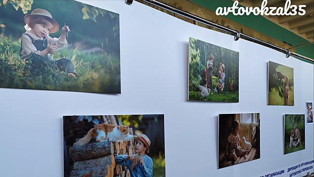 Выставка фотографий детей и животных открылась на автовокзале Вологды