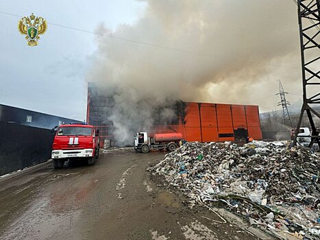 Крупный пожар произошел на территории завода по переработке мусора в Видном