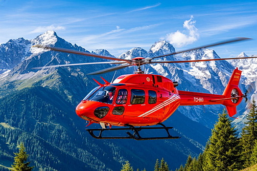 Опытная туристка отправилась в поход с собакой и замерзла насмерть на горе