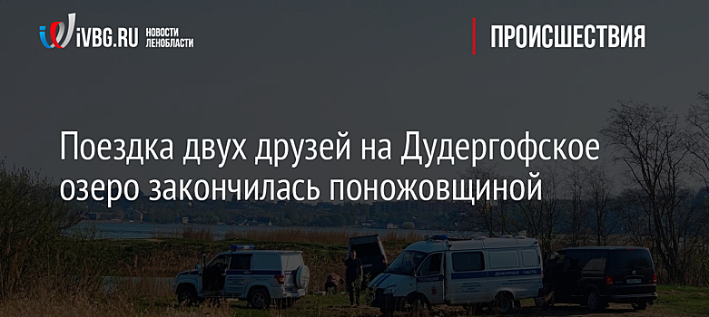 Поездка двух друзей на Дудергофское озеро закончилась поножовщиной