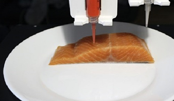 В Израиле впервые в мире изготовили искусственное мясо рыбы с помощью 3D-принтера