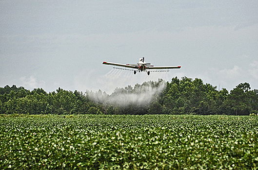 Минсельхоз согласовал с ведомствами проект о контроле Россельхознадзора над оборотом пестицидов