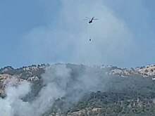В Крыму авиация МЧС тушит лесной пожар в Ялтинском заповеднике