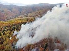 Площадь пожаров в Приморье увеличилась на треть