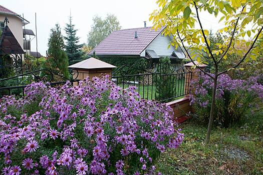 Россиянам рассказали о запрещенных объектах на собственных дачах