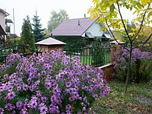 Россиянам рассказали о запрещенных объектах на собственных дачах