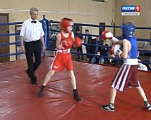В Гусеве состоялись областные соревнования по боксу