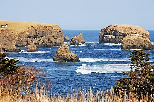 Россия ответила на претензии Японии по Курилам