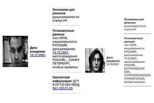 МВД объявило в розыск журналистов SOTA Иванова и Терехова по уголовной статье