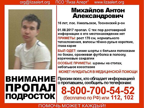 В Тосненском районе ищут пропавшего подростка с инвалидностью