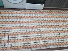 Хакер из Ставрополья заработал 1,2 млн рублей на модификациях вредоносных программ