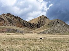 На «Уйтаг» будет, откуда посмотреть