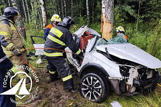 В Челябинской области водитель не выжил в ДТП на трассе М-5
