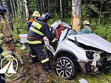В Челябинской области водитель не выжил в ДТП на трассе М-5