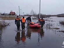 В Кургане из зоны затопления 4 раза спасли одного и того же пса