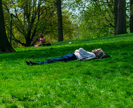 Половина сотрудников предпочитают в жару часть рабочего дня проводить вне офиса