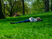 Половина сотрудников предпочитают в жару часть рабочего дня проводить вне офиса