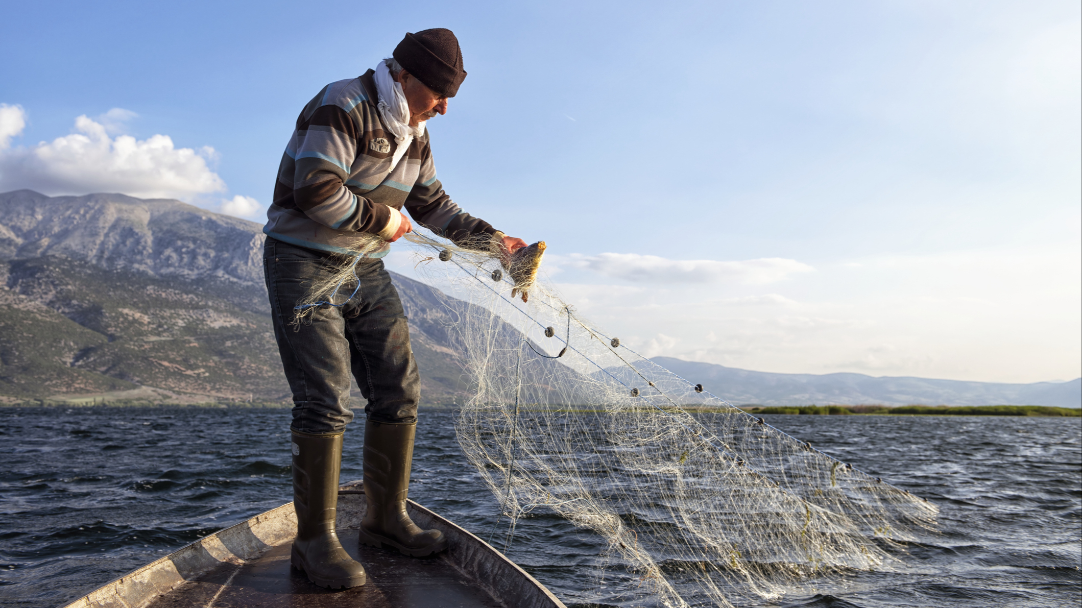 Азиатская рыба, которая угрожает США