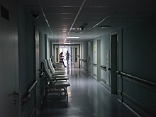 Елизаветинский хоспис для тяжелобольных детей открылся в Истре