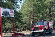 Третий класс пожароопасности установили в лесах Нижнего Новгорода