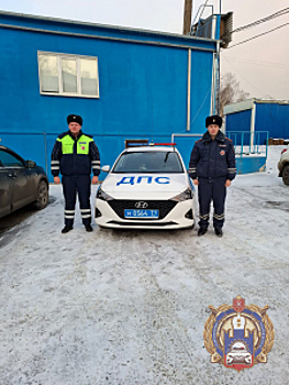 В Республике Татарстан автоинспекторы оказали помощь автоледи, в машине которой закончилось топливо