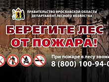 Штрафы за нарушение пожарной безопасности увеличены в 2,2 раза
