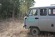 Лесничества Кировской области получили 38 автомобилей УАЗ для патрулирования лесов