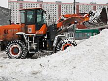 Сугробы скроют все следы – мошенники крутят «снежную» схему